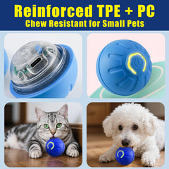 Generic chew-resistant toy ball showcases durability for small pets.