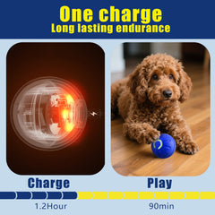 Generic toy ball USB-C charging for quick, long play sessions.