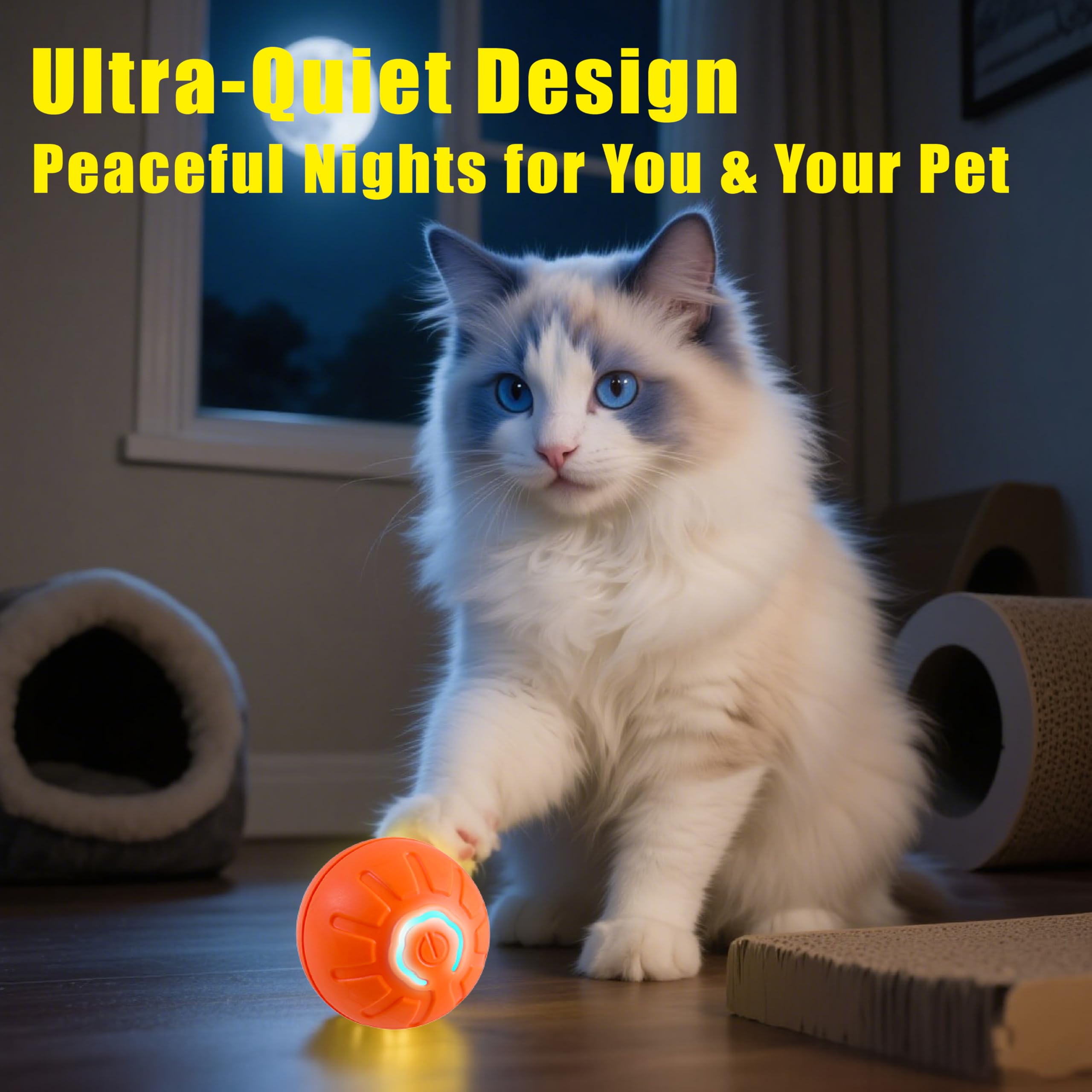 1-year warranty and 24/7 support for peace of mind.