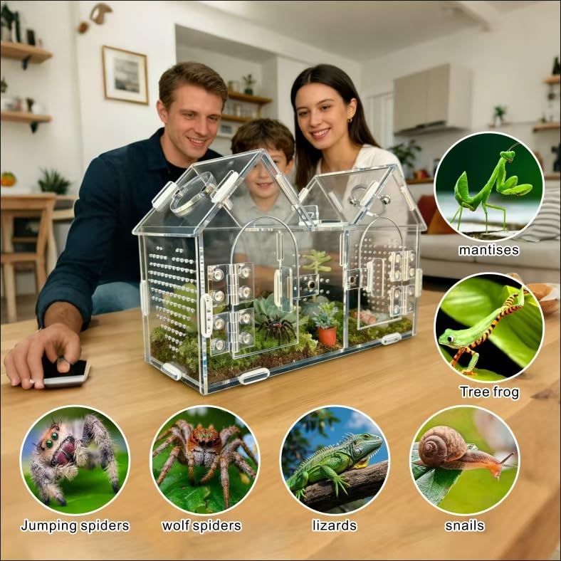 Generic Jumping Spider Enclosure beginner-friendly assembly guide