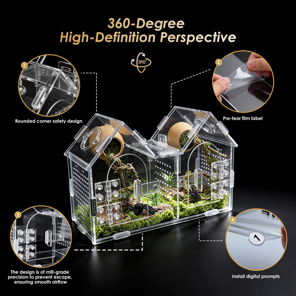 Generic Jumping Spider Enclosure divider removed layout for growing spiders