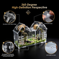 Generic Jumping Spider Enclosure divider removed layout for growing spiders