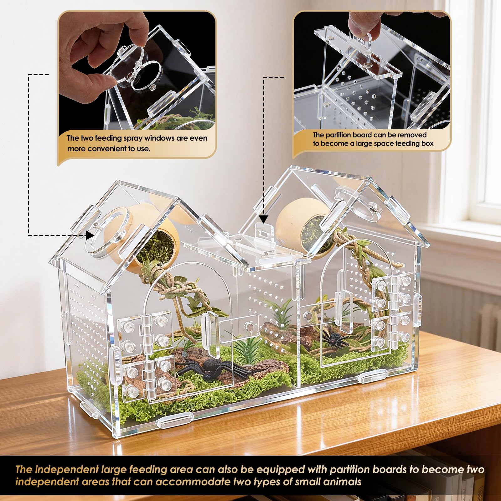 Generic Jumping Spider Enclosure dual-doors facilitate feeding and observation