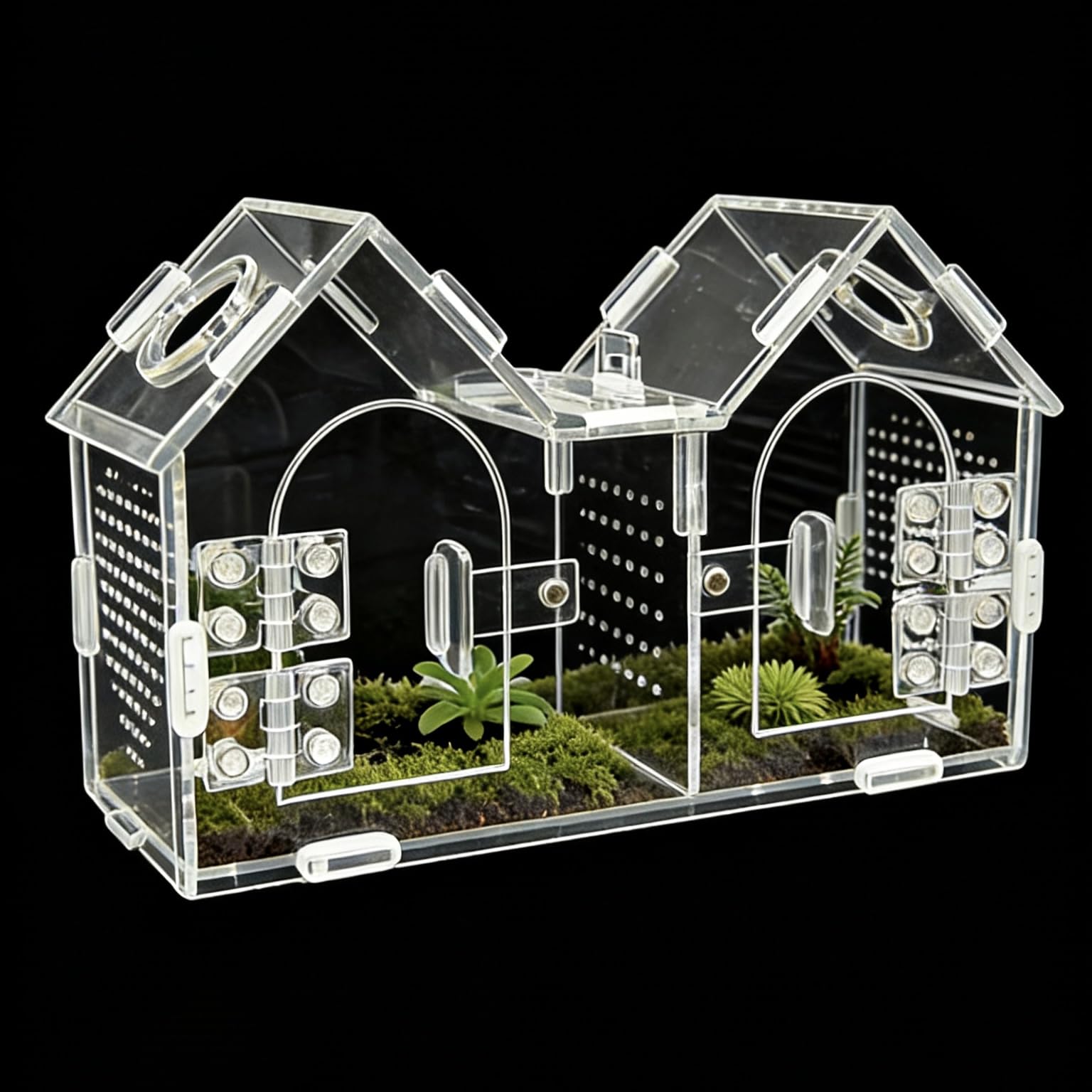 Generic Jumping Spider Enclosure front view with dual magnetic doors for easy access