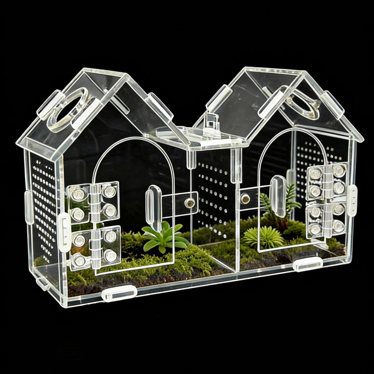 Generic Jumping Spider Enclosure front view with dual magnetic doors for easy access