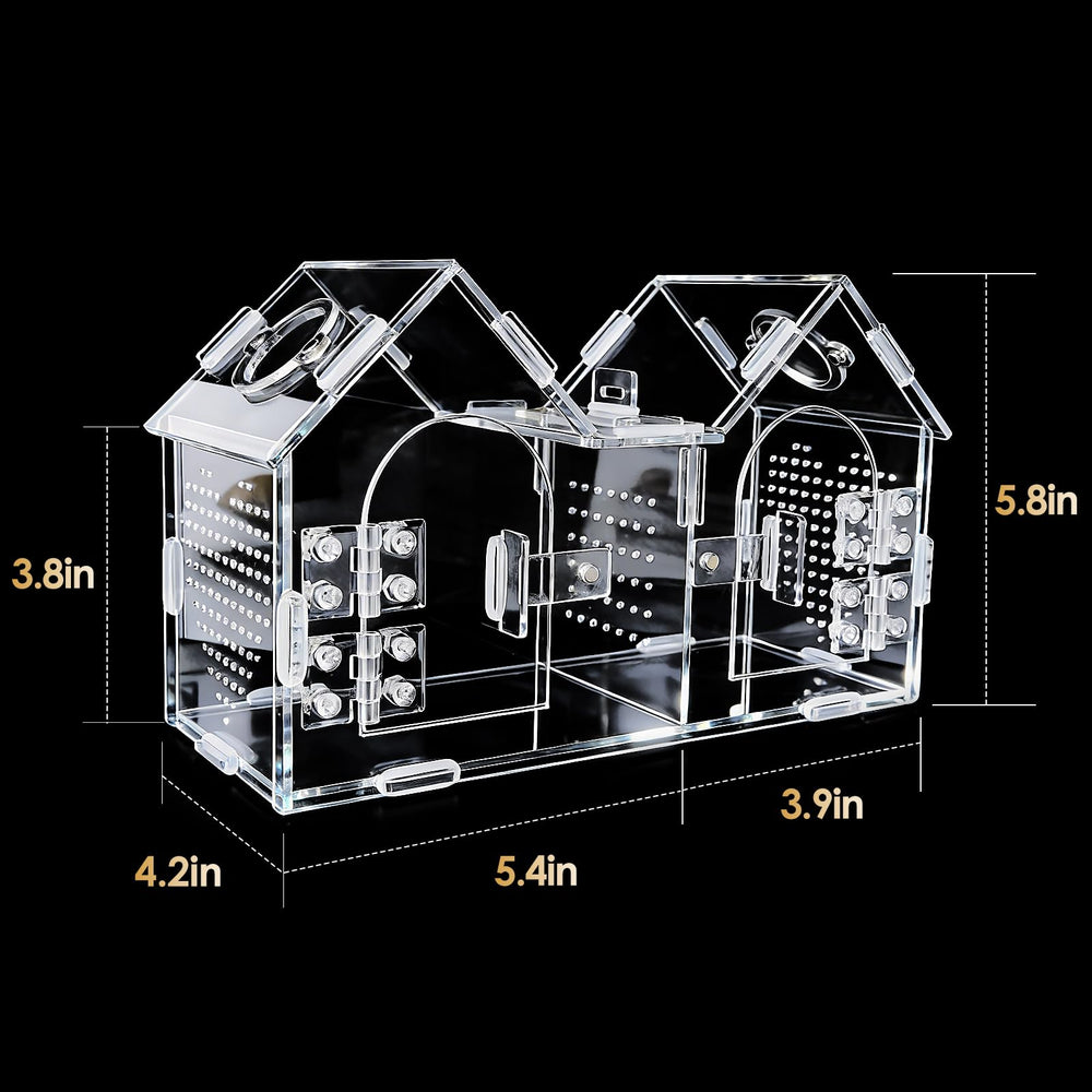 Generic Jumping Spider Enclosure side view highlighting all-side ventilation