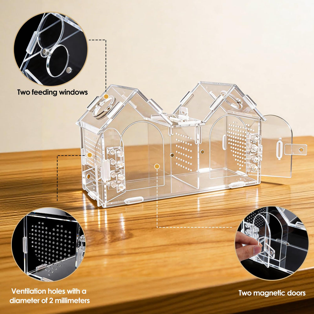 Generic Jumping Spider Enclosure 2mm vents support steady airflow