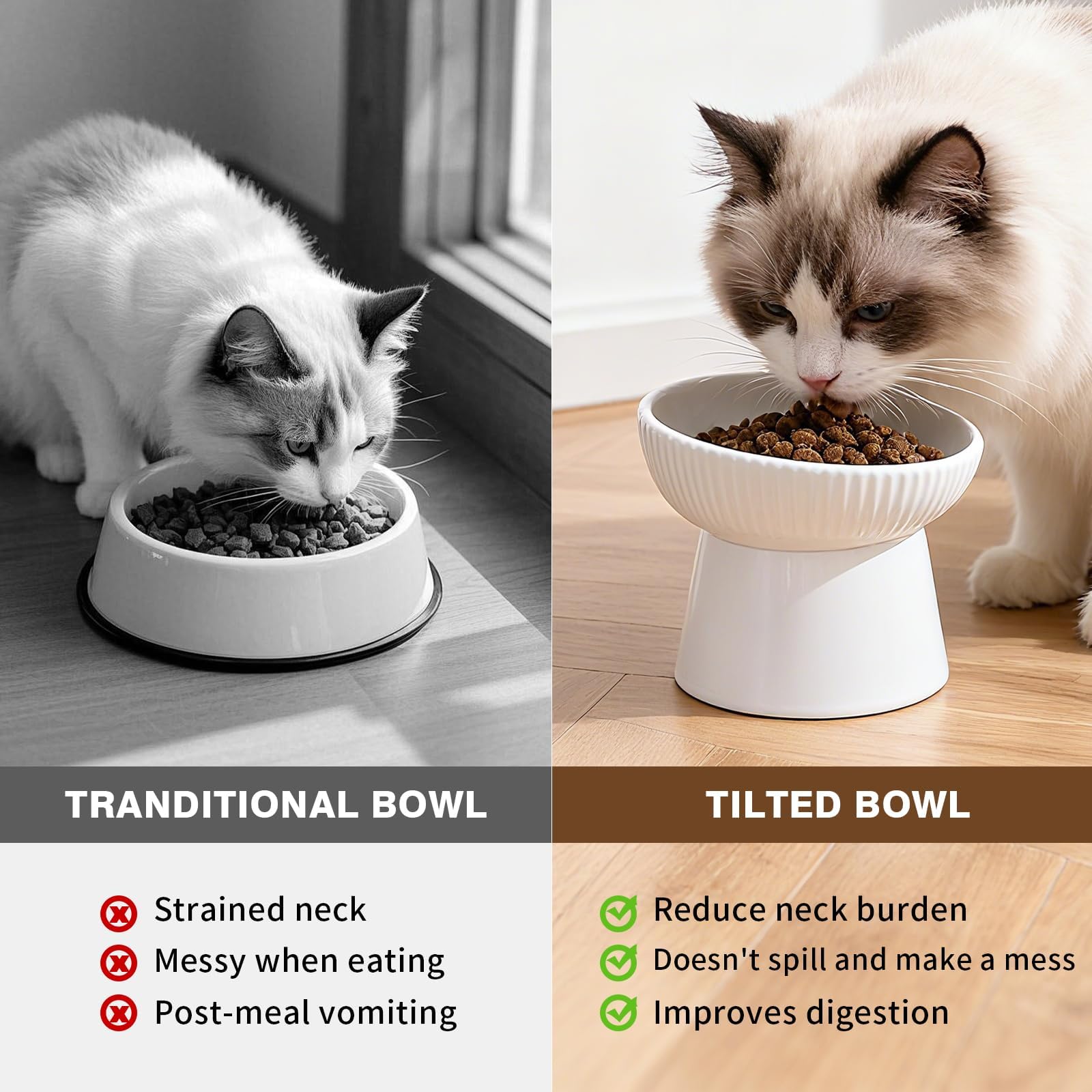 Generic kitten and small dog friendly bowl suitable for mixed households.