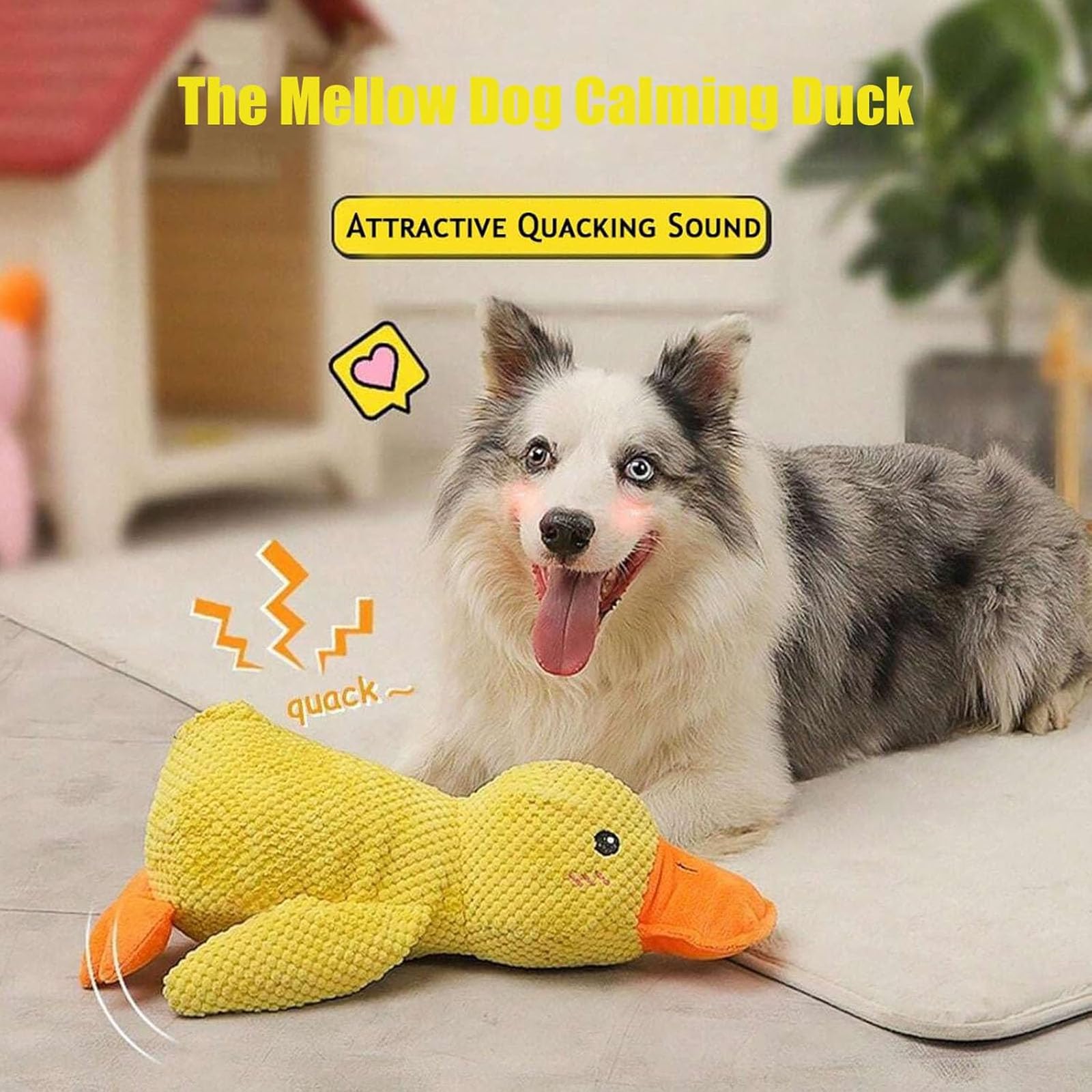 Generic Mellow Duck suits dogs of all sizes for indoor fun.