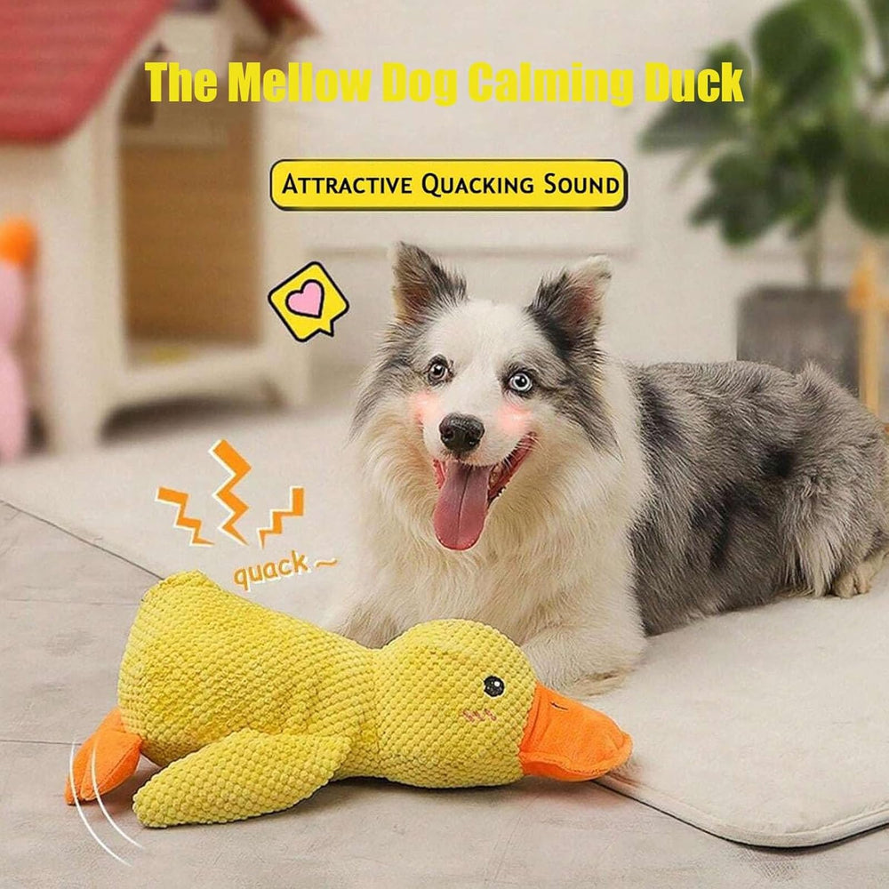 Generic Mellow Duck suits dogs of all sizes for indoor fun.