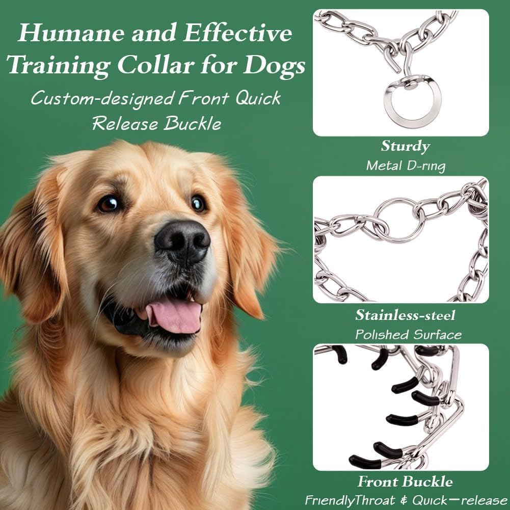 Generic No Pull Prong Collar in training use during guided walks.