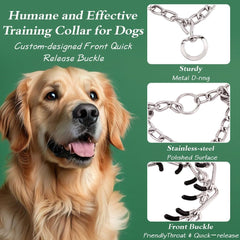 Generic No Pull Prong Collar in training use during guided walks.
