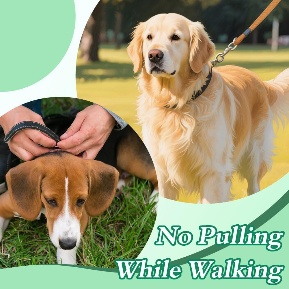 Generic No Pull Prong Collar is waterproof for daily use in all weather.