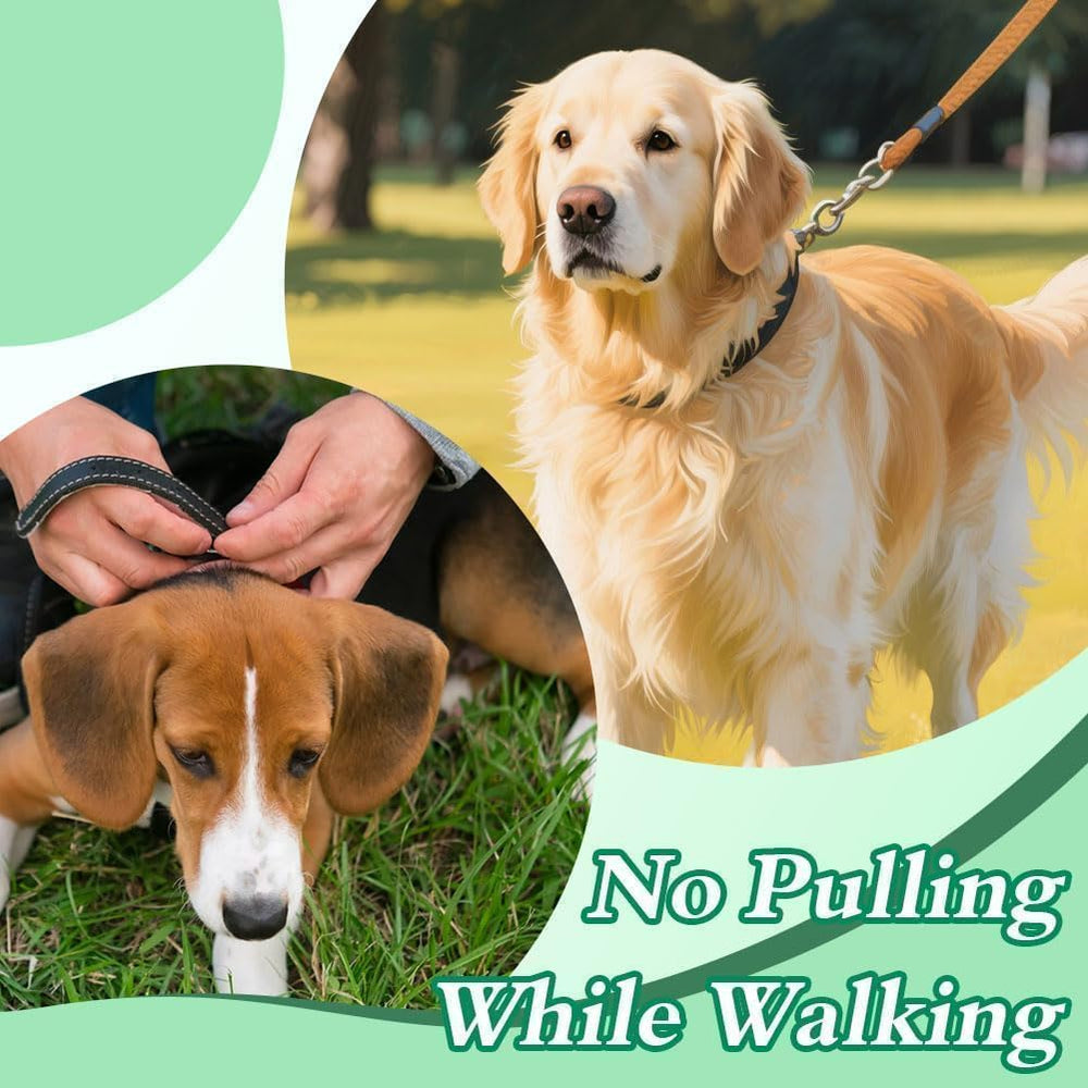 Generic No Pull Prong Collar is waterproof for daily use in all weather.