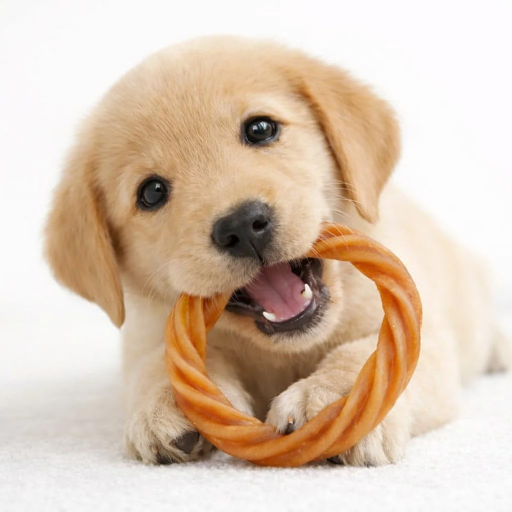 Generic No Rawhide Puppy Teething Rings textured grooves aid gum massage and tooth cleaning.