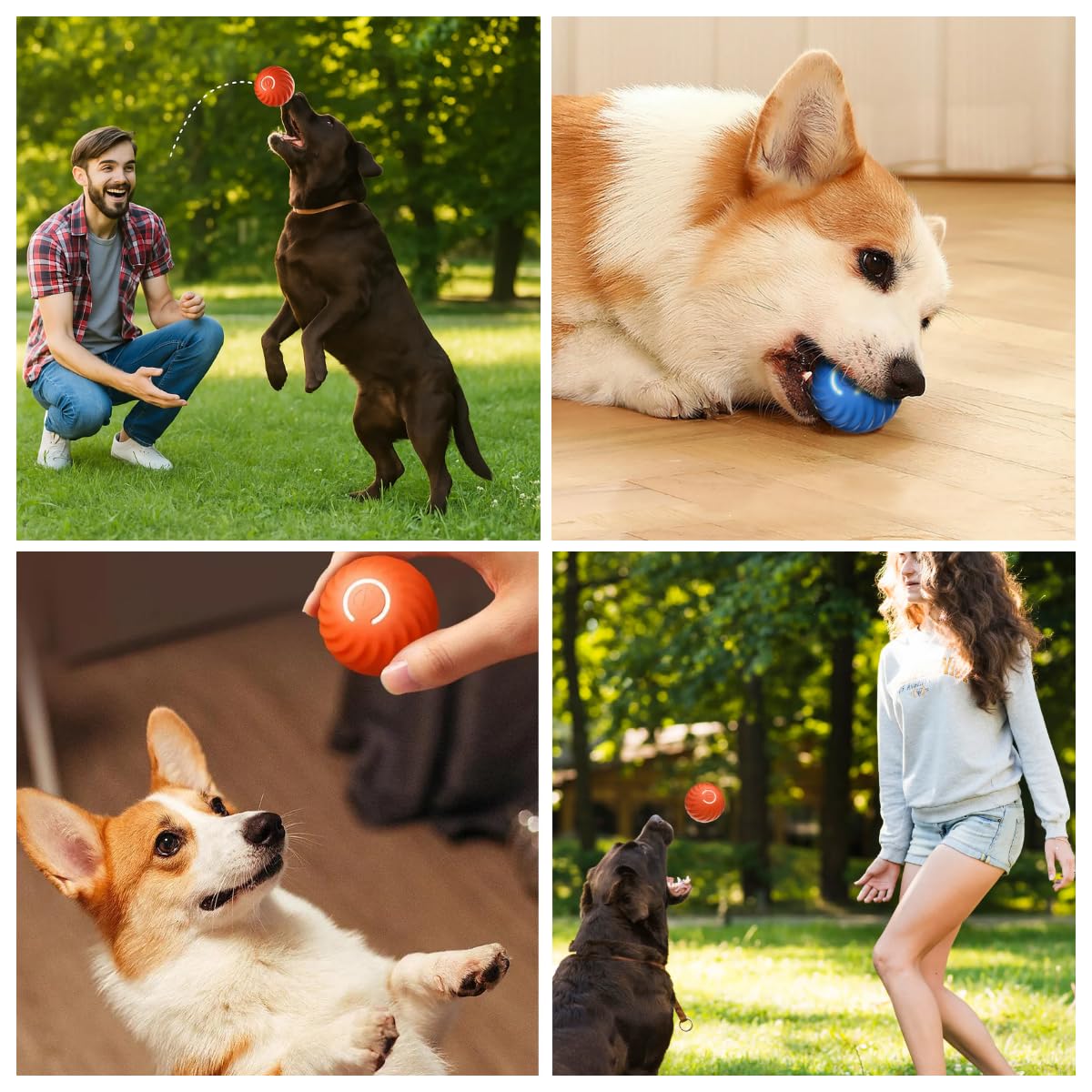 Generic Non-slip surface on dog ball for secure grip during play