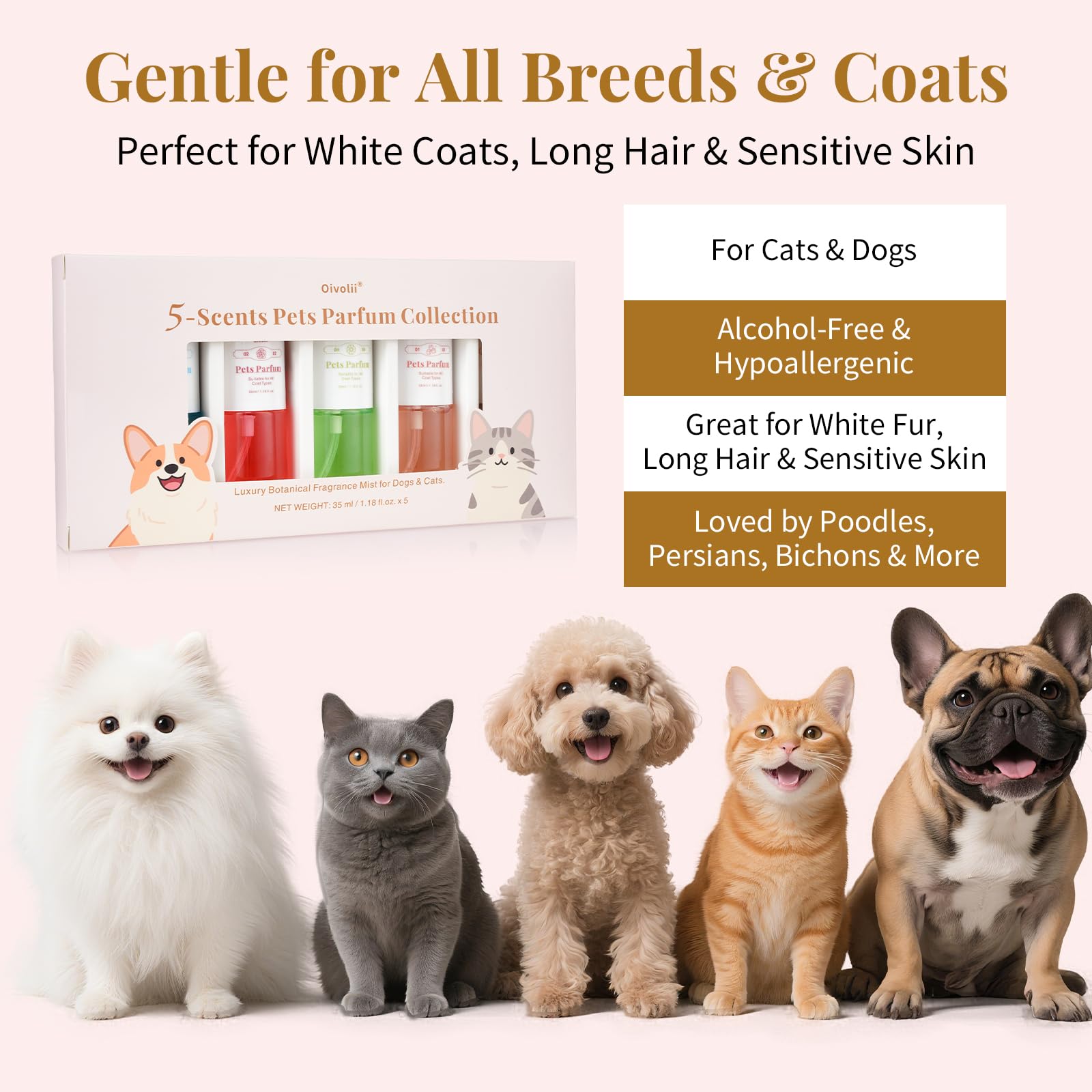 Generic pet perfume 5 scent gift set box showcases versatile grooming kit