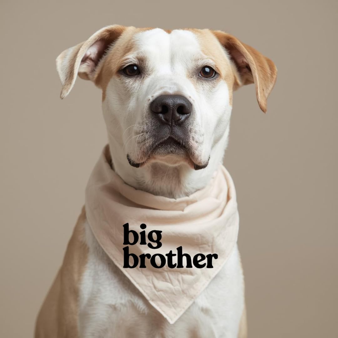 Generic photo-ready dog bandana in cream tones for family portraits.