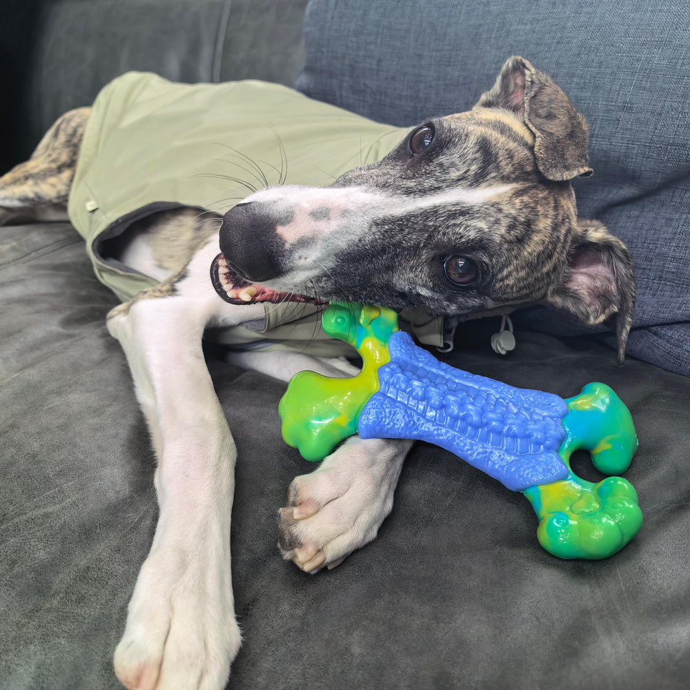 Generic power chewer approved durable toy for indoors and outdoors