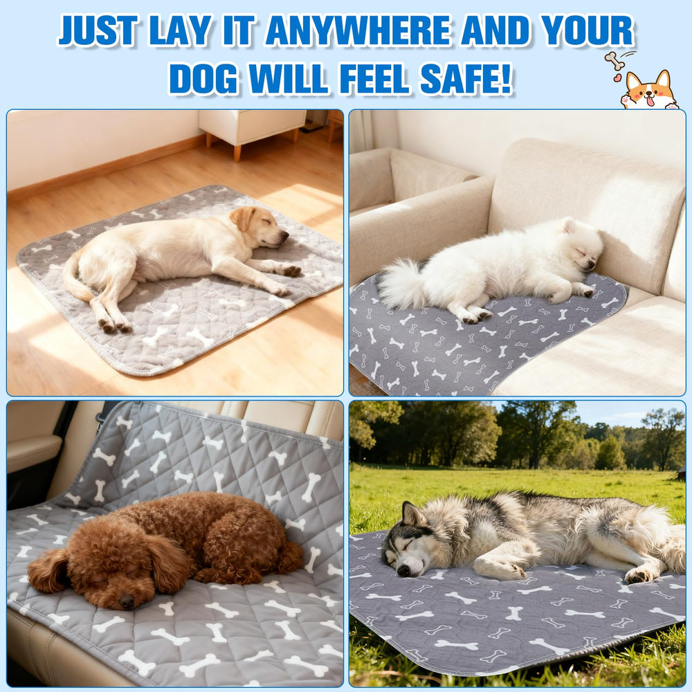 Generic Puppy Pads demonstrating fast absorption for training sessions.