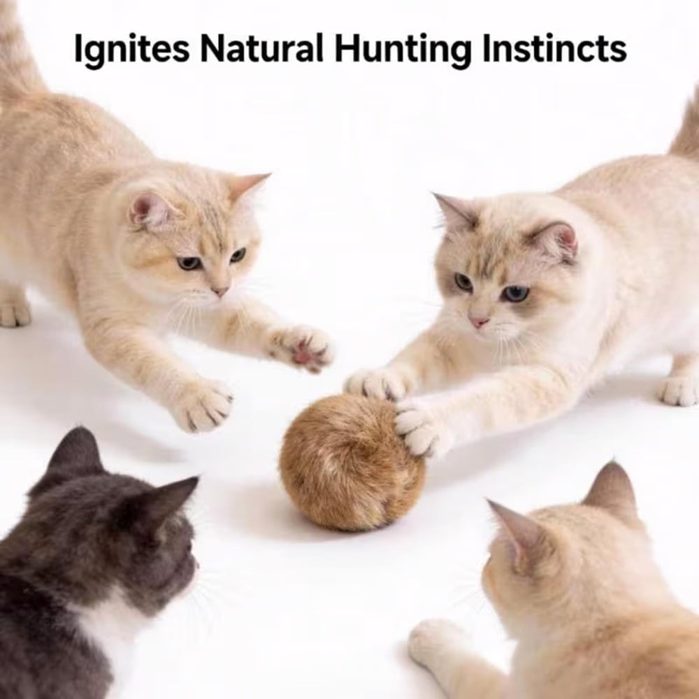 Generic Rabbit Fur Ball Cat Toy catnip-infused for extended playtime