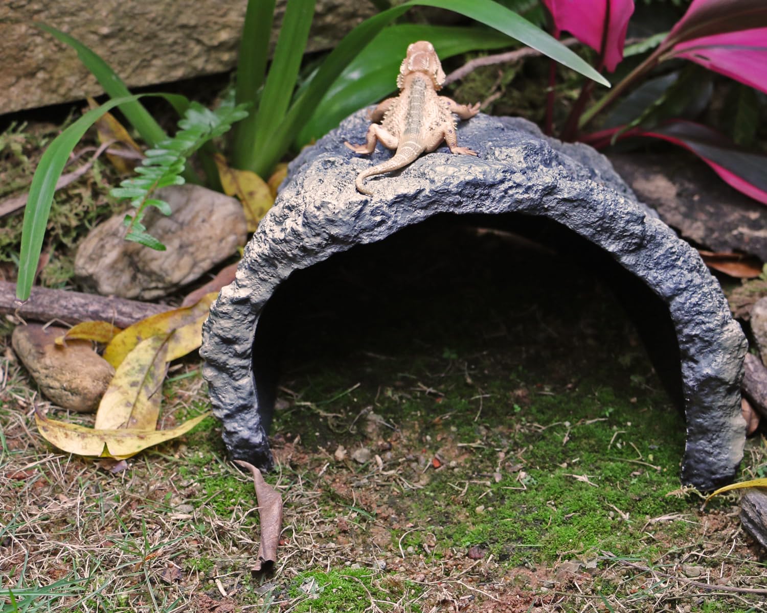 Generic Rock Cave Habitat interior shows smooth edges for safe access.