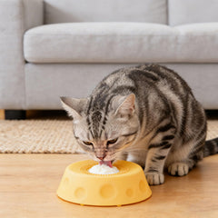 Rolling ball mechanism visible in bowl promoting gradual licking.