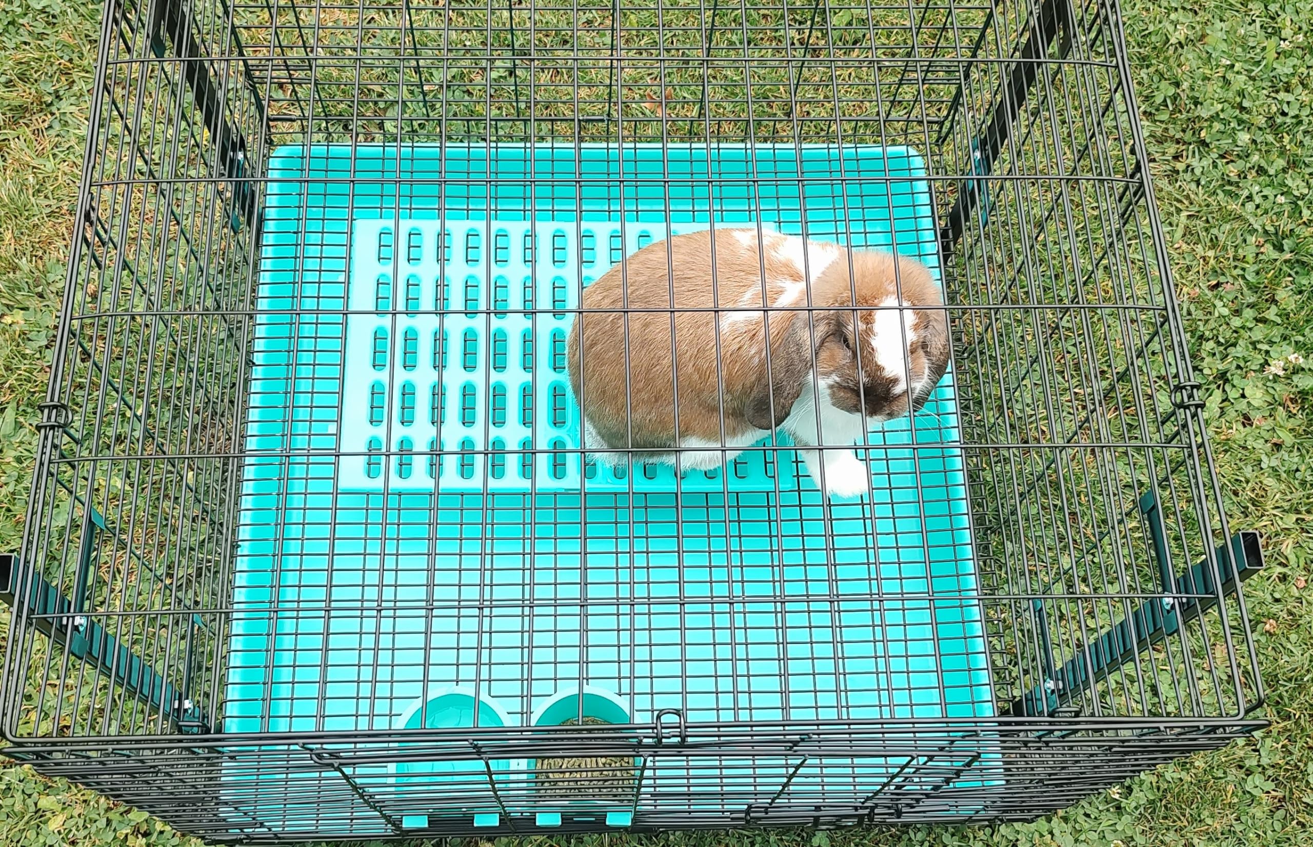 Generic Saguaro Acres resting mat in blue cushions feet while keeping bedding clean.