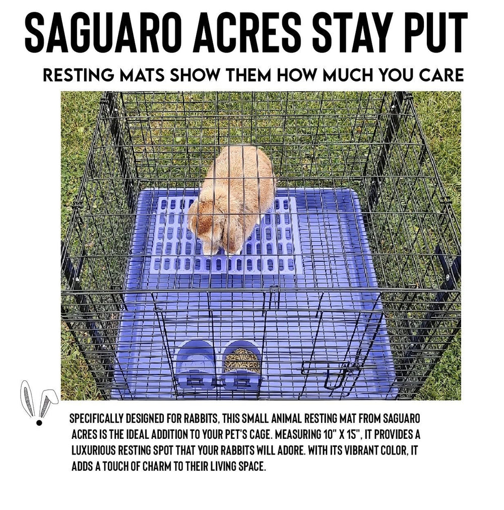 Generic Saguaro Acres resting mat in purple offers comfort and easy drainage.