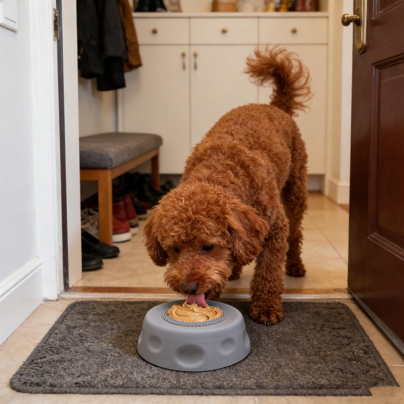 Generic Slow Feeder Bowl encourages mindful eating for dogs and cats.
