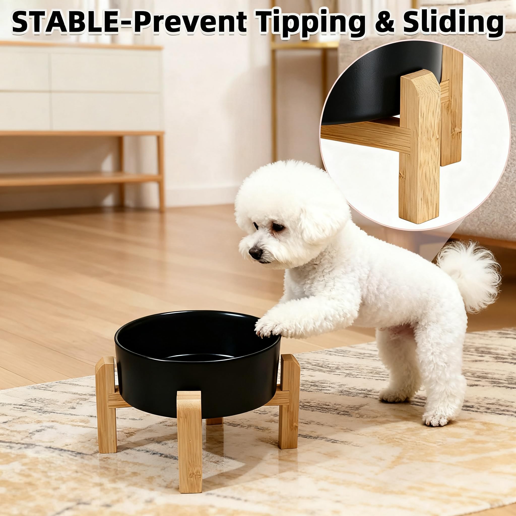 Generic small to medium dog or cat bowl suitable for dry or wet food.