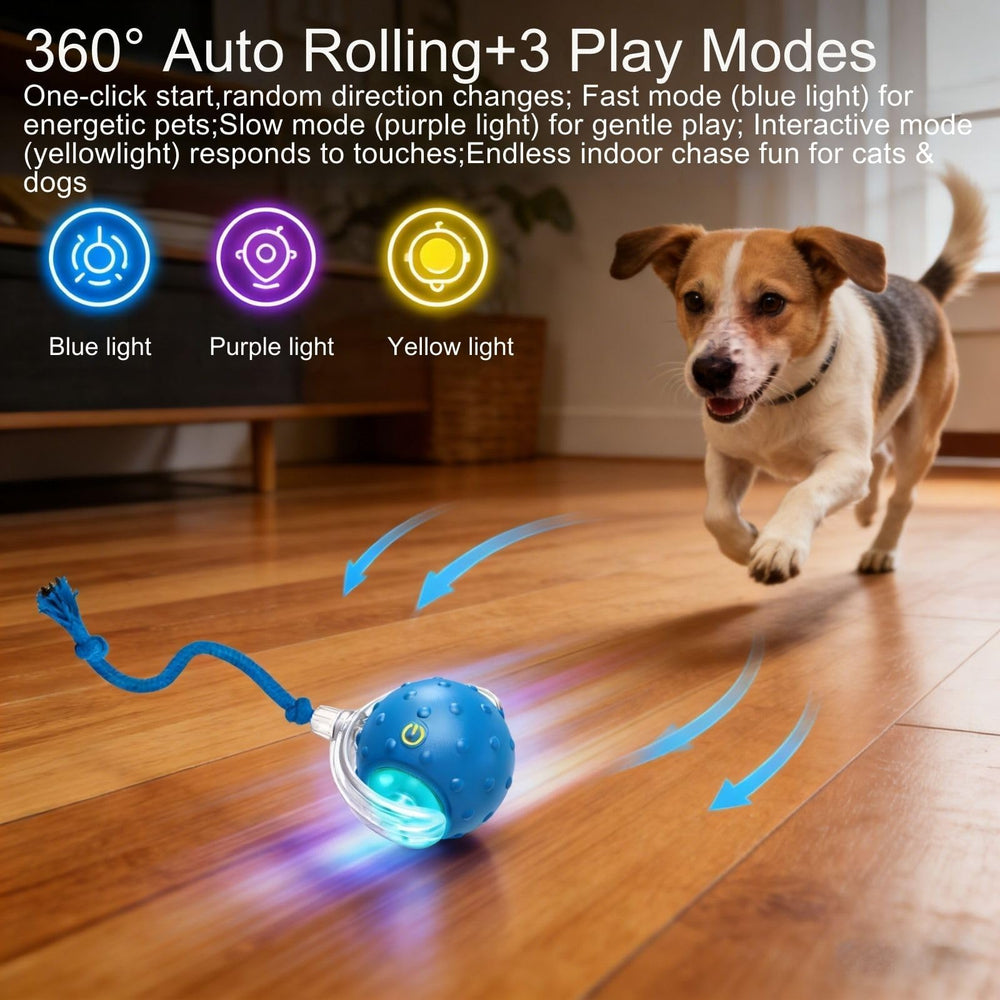 Generic Tiny Fetch Ball emits birdsong to attract pets during active sessions.