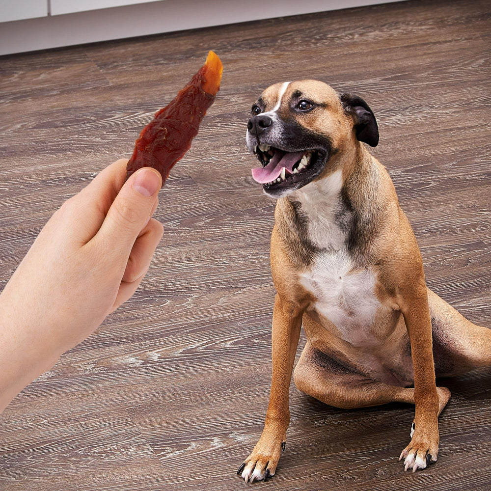 Dog enjoying a textured chew during training session