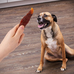 Dog enjoying a textured chew during training session