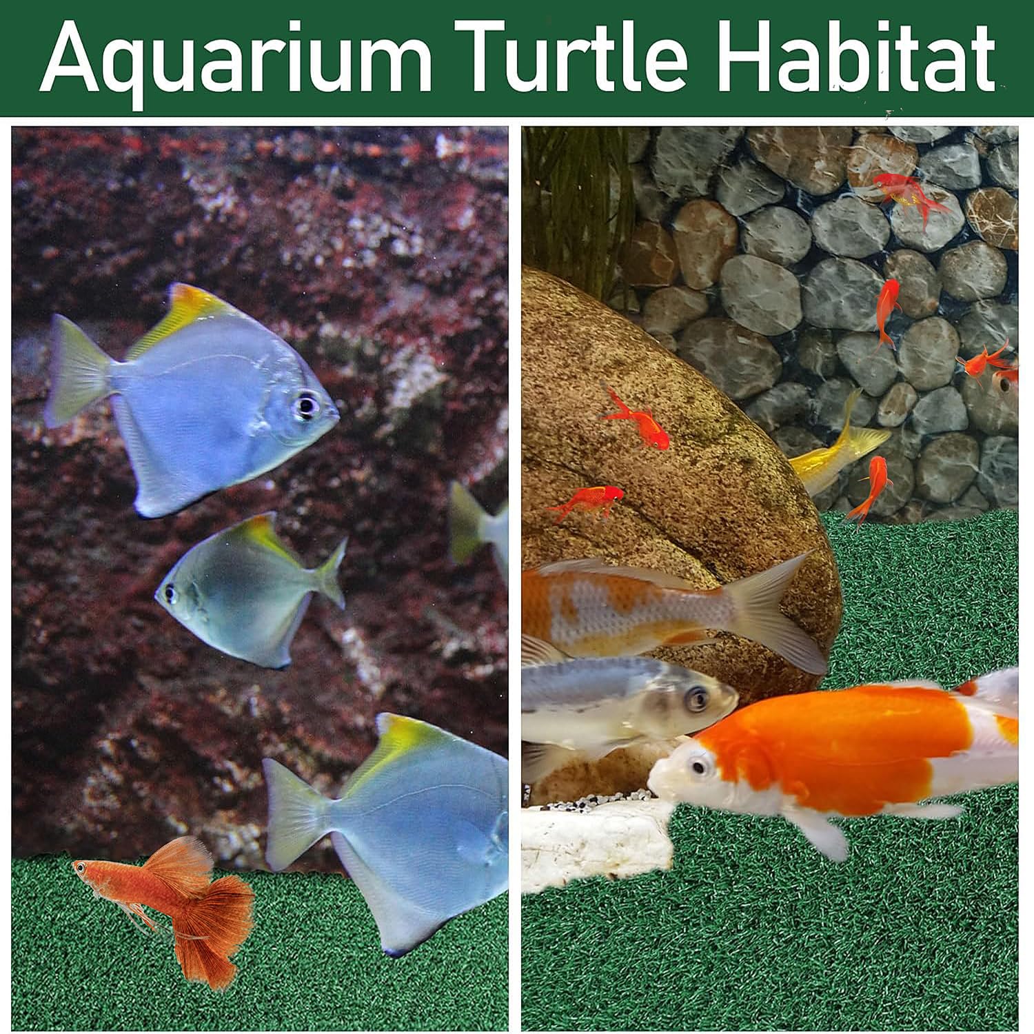 Generic Turtle Basking Platform versatile for indoor and outdoor use.