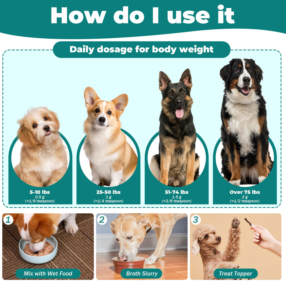 Generic US-made, GMP-certified dog digestive care, veterinarian approved