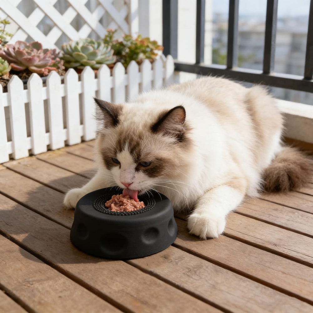 Generic Wet Food Compatible Bowl handles yogurt, broth, and soft treats.