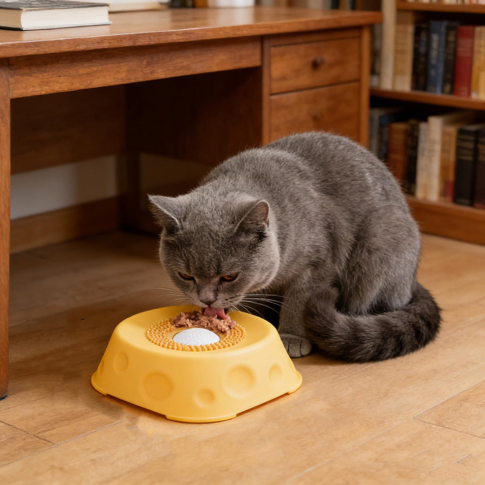Generic wet-food compatible dog bowl supports yogurt, broth, and soft treats.