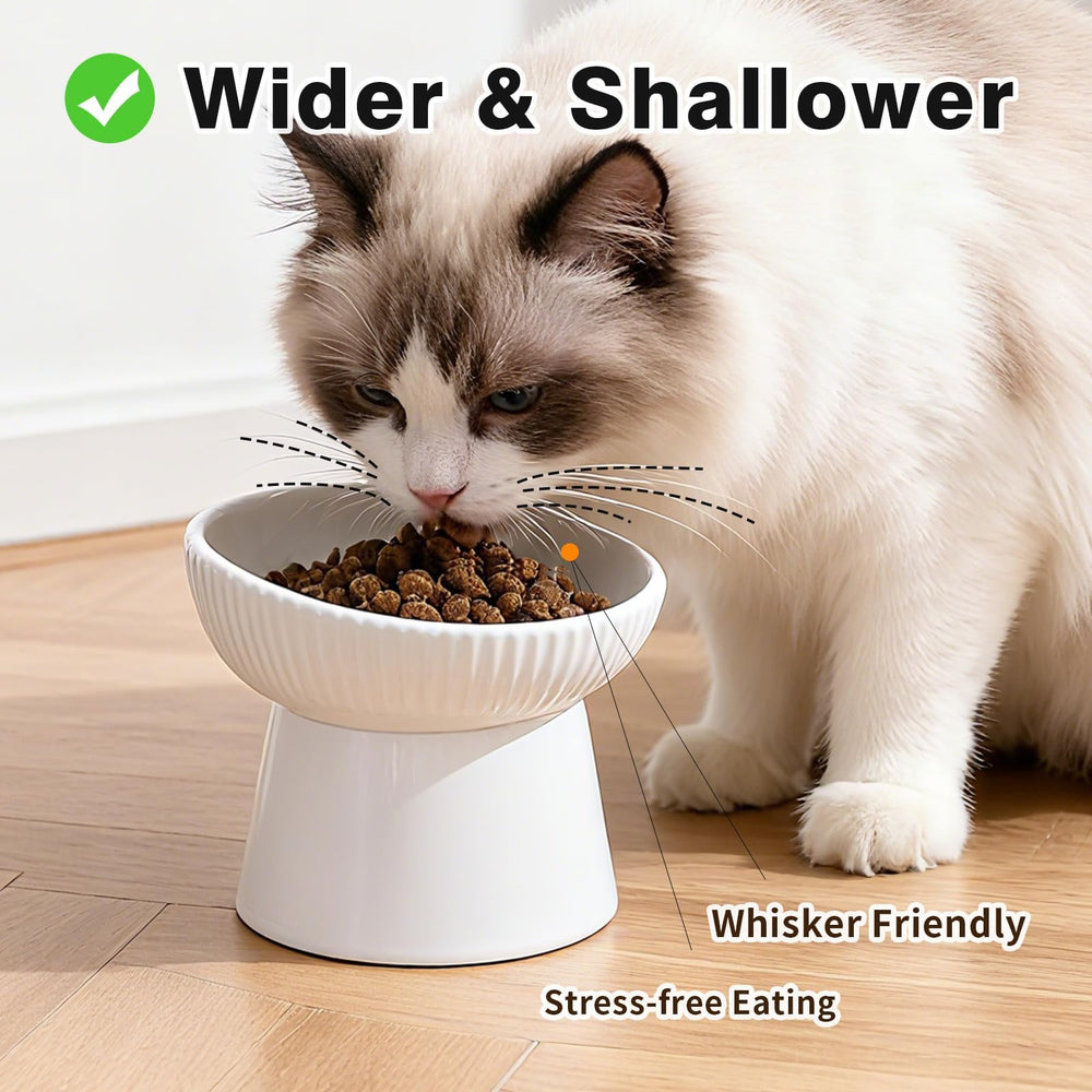 Generic whisker-friendly cat food dish minimizes whisker fatigue during meals.
