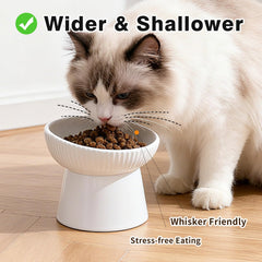Generic whisker-friendly cat food dish minimizes whisker fatigue during meals.