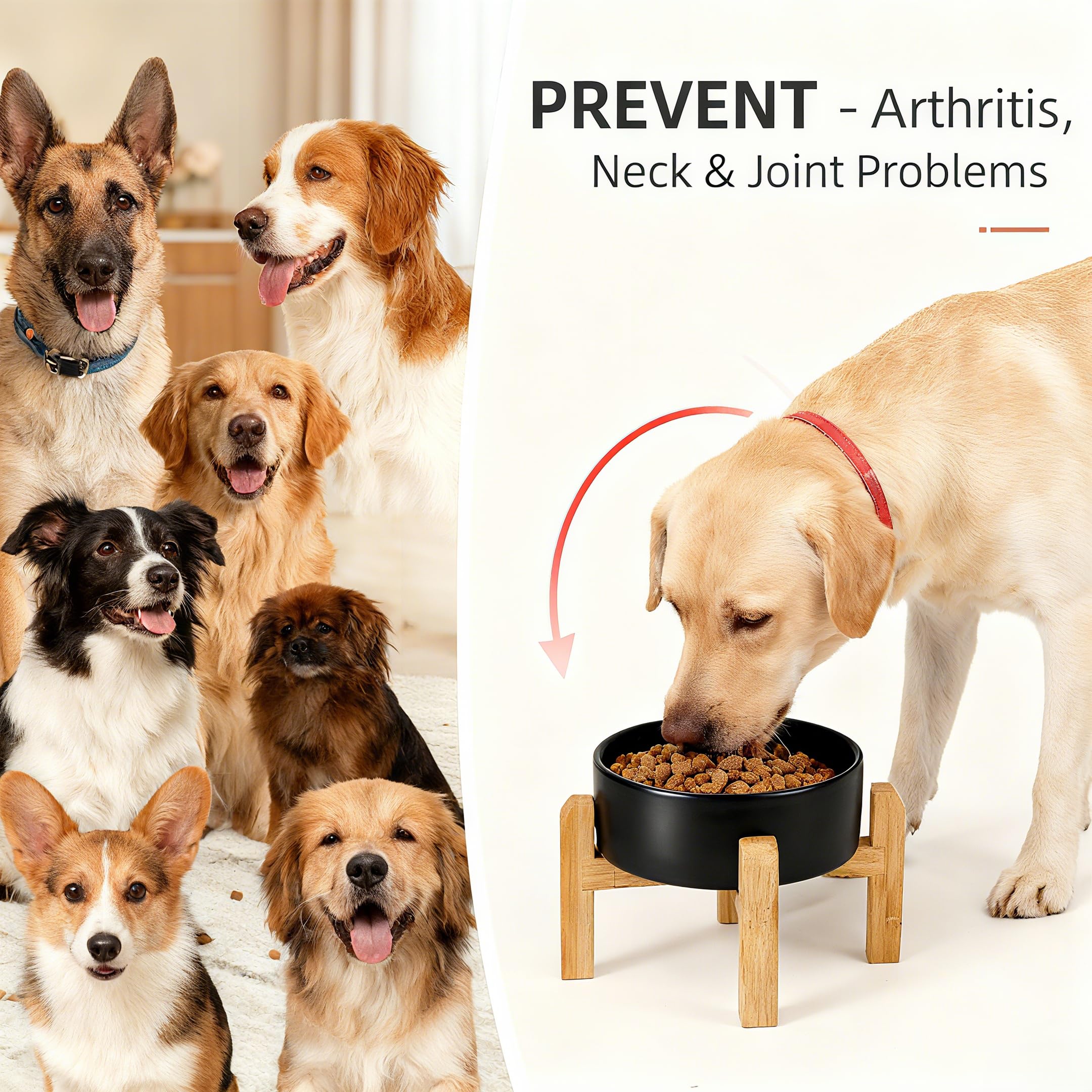 Generic wood stand detail shows sturdy support for a ceramic dog bowl.