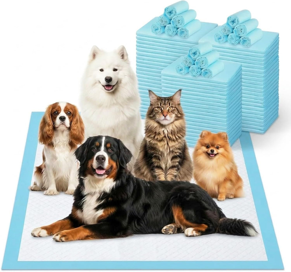 Generic XXXXL 31x55-inch pad offers oversized coverage for large dogs