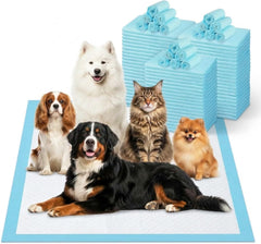 Generic XXXXL 31x55-inch pad offers oversized coverage for large dogs