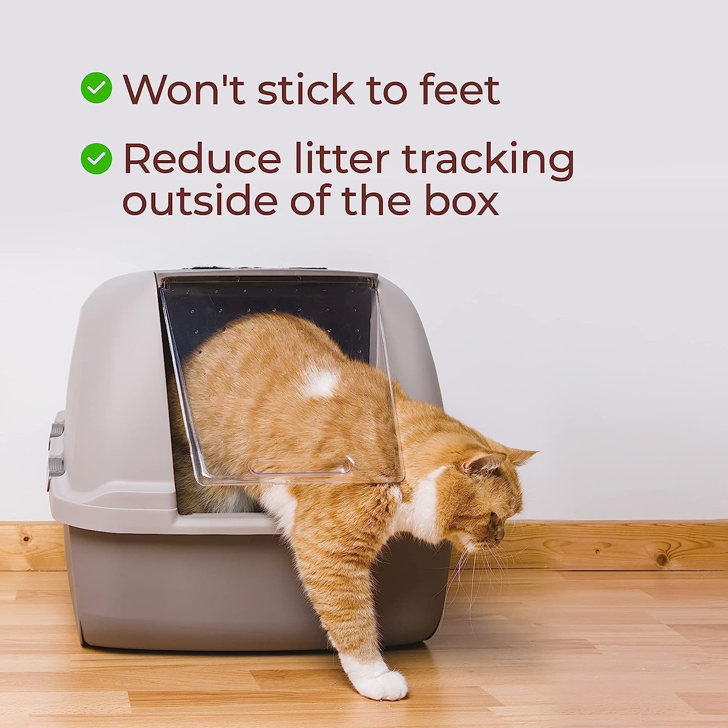 Genius Litter 6lb bag suits a monthly refill for one cat.