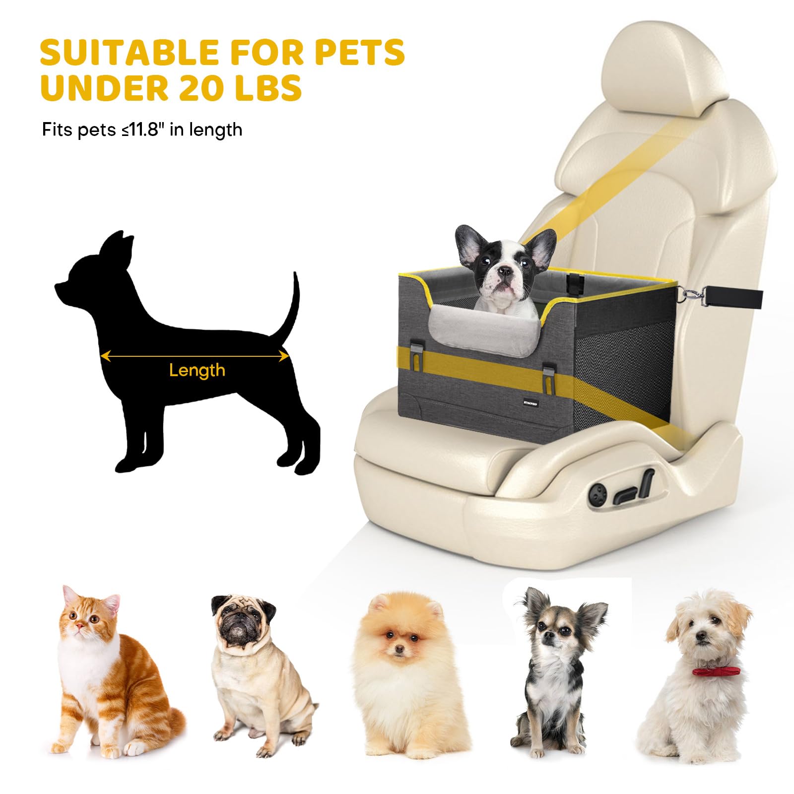 GENORTH safety buckles and adjustable strap keep the seat secure during drives