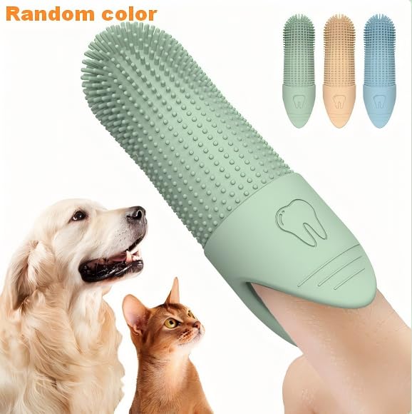 GENTERUN indoor and outdoor training tool supports versatile care.