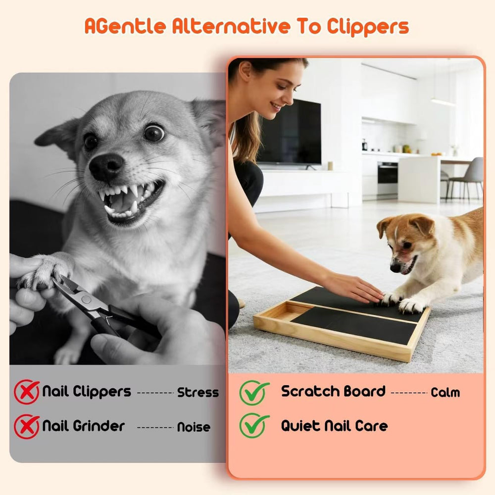 GENTERUN small dogs benefit from interactive nail care routines.