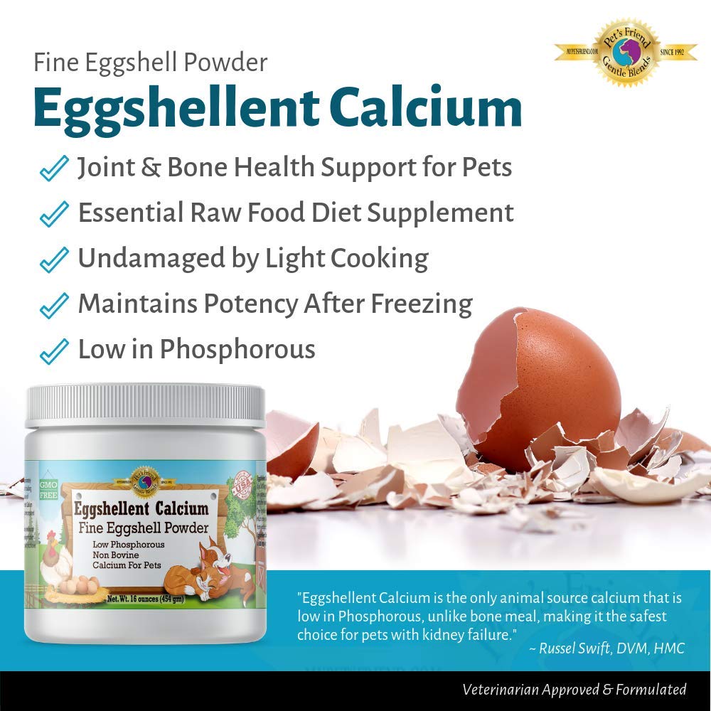 Gentle Blends Pet's Friend Eggshellent Calcium measuring spoon for portion control.