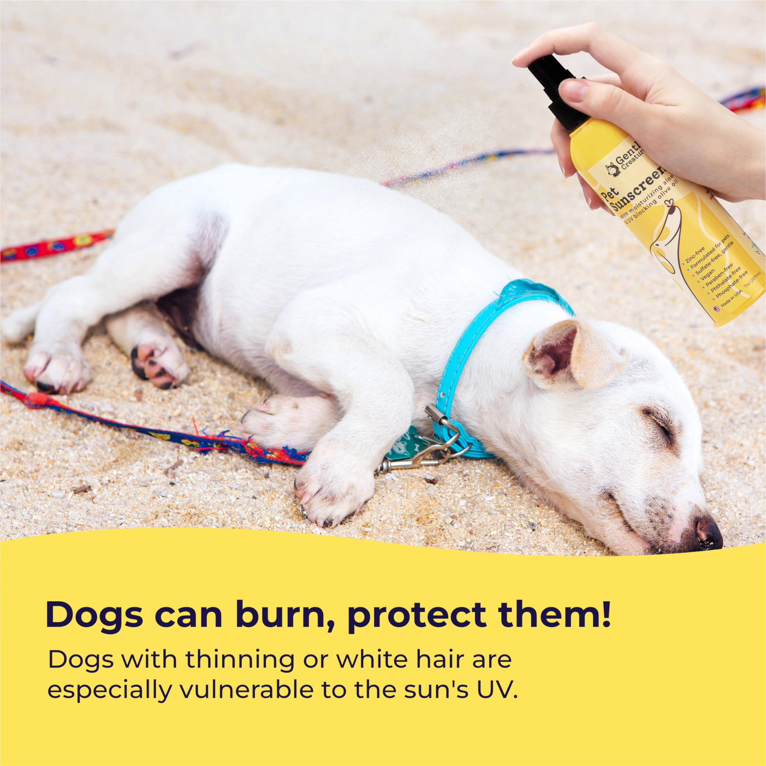 Gentle Creatures sunscreen applied to a dog's nose for sun safety.