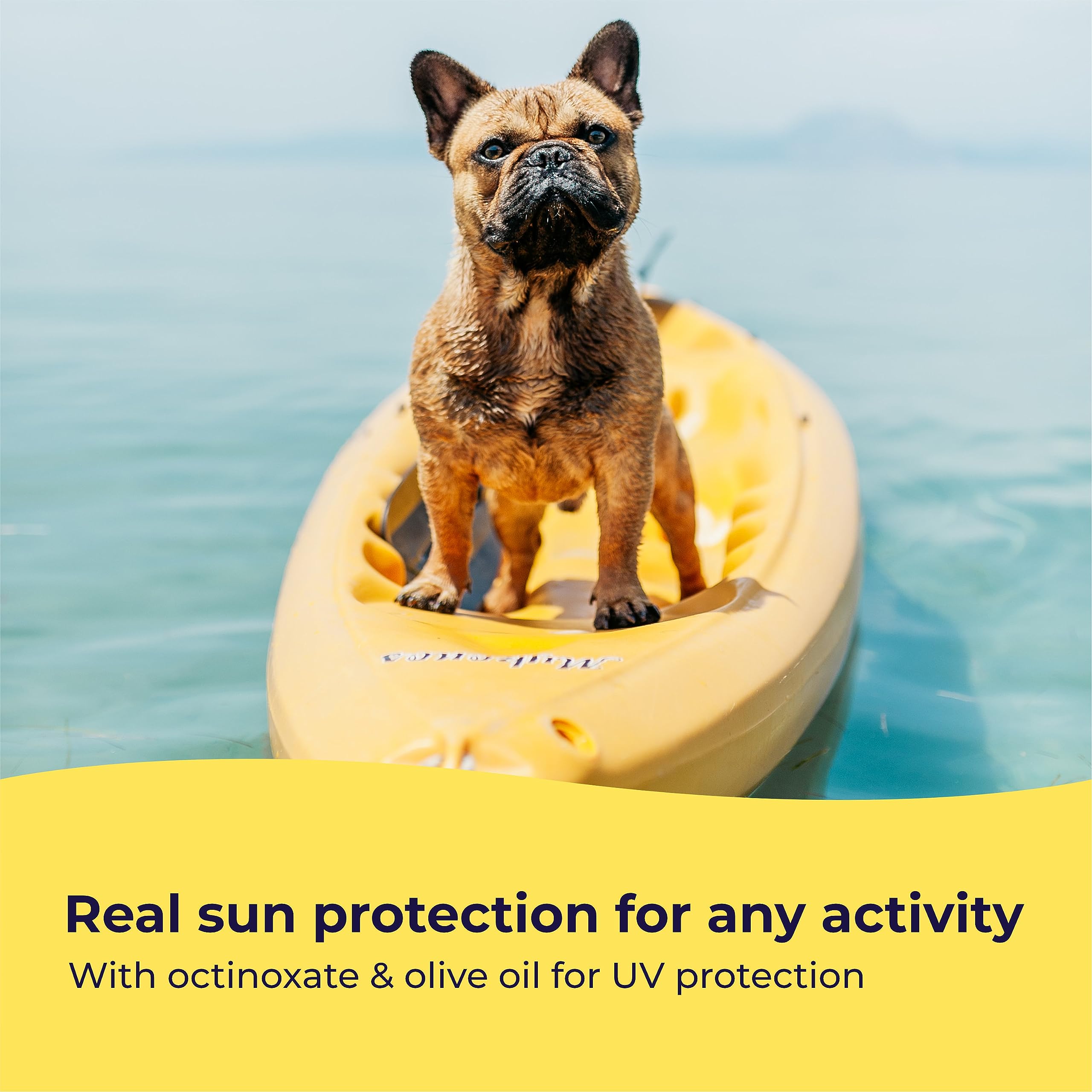 Gentle Creatures USA facility ensures pet safe production.